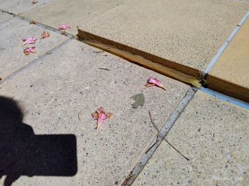 Concrete/Cement/Asphalt