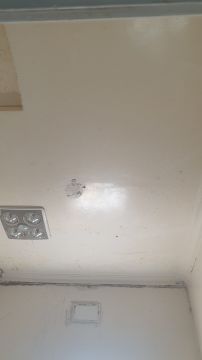 Mold Removal Expert