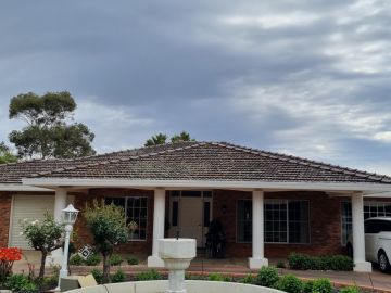 Roof Cleaner