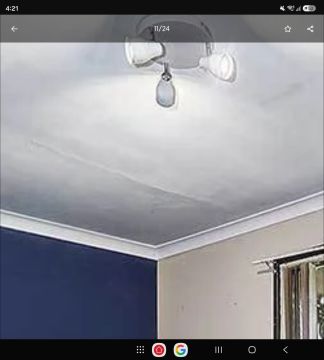 Plaster Specialist
