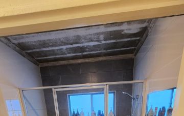 Mold Removal Expert
