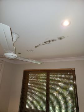 Mold Removal Expert - Domestic Services
