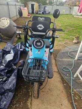 Electric Scooter Specialist - Auto Services