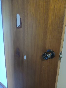 Door Repair - Doors