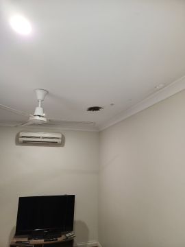 Mold Removal Expert