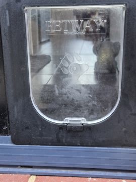 Pet Door Installation
