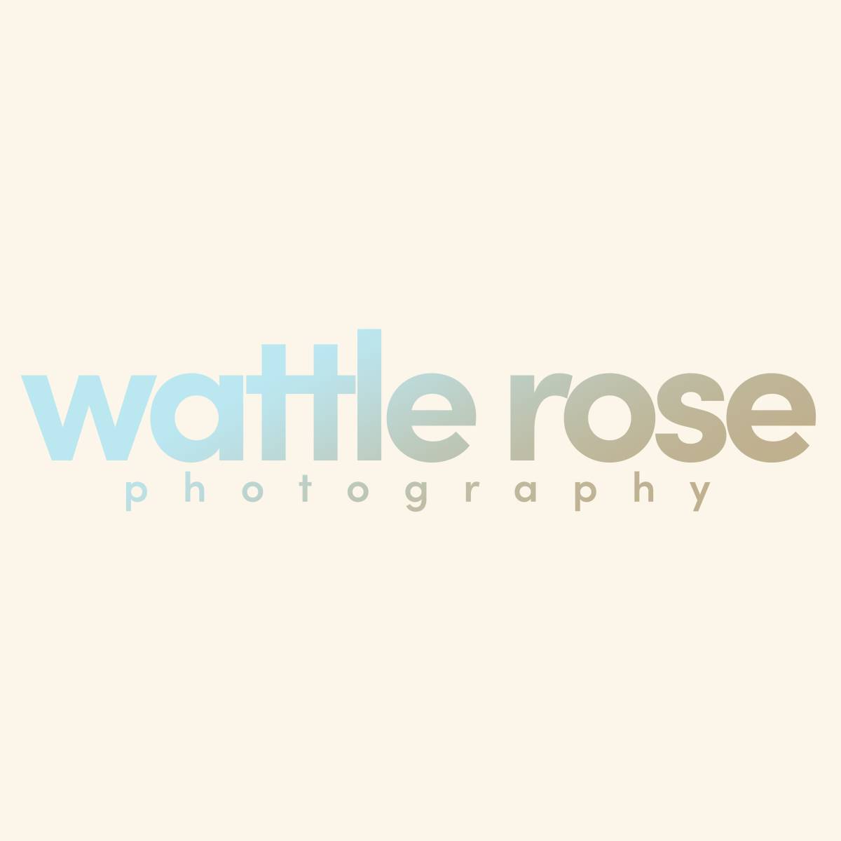 Wattle Rose Photography - Lake Macquarie - Family Portrait Photography