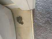Vinyl or Linoleum Repair Specialist