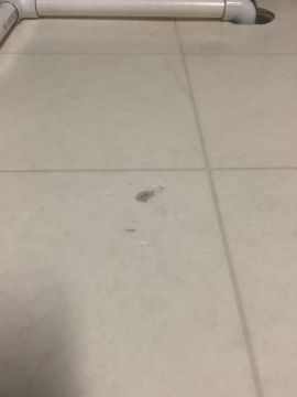 Vinyl or Linoleum Repair or Partial Replacement