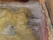 Mold Removal Expert - Domestic Services