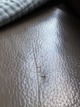 Furniture Repair