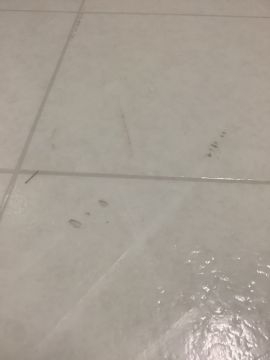Vinyl or Linoleum Repair Specialist