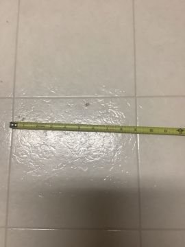 Vinyl or Linoleum Repair Specialist