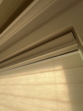 Window Blinds