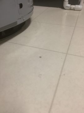 Vinyl or Linoleum Repair or Partial Replacement - Flooring