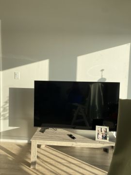 TV Mounting Specialist