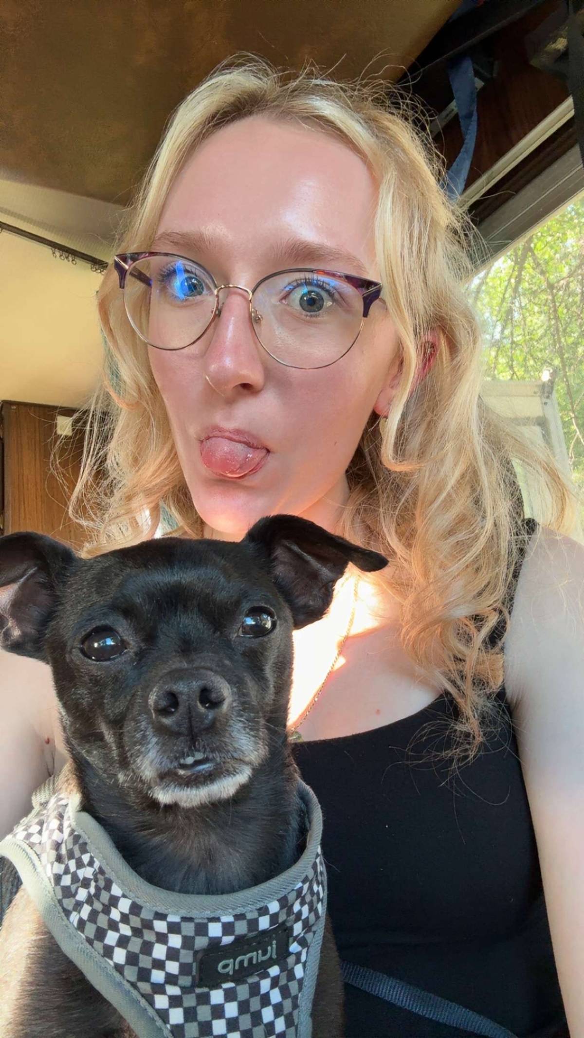 Pipermarie - Yorkton - Dog Walking