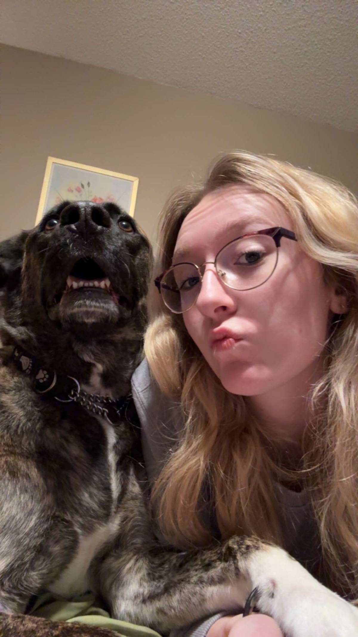 Pipermarie - Yorkton - Pet Sitting
