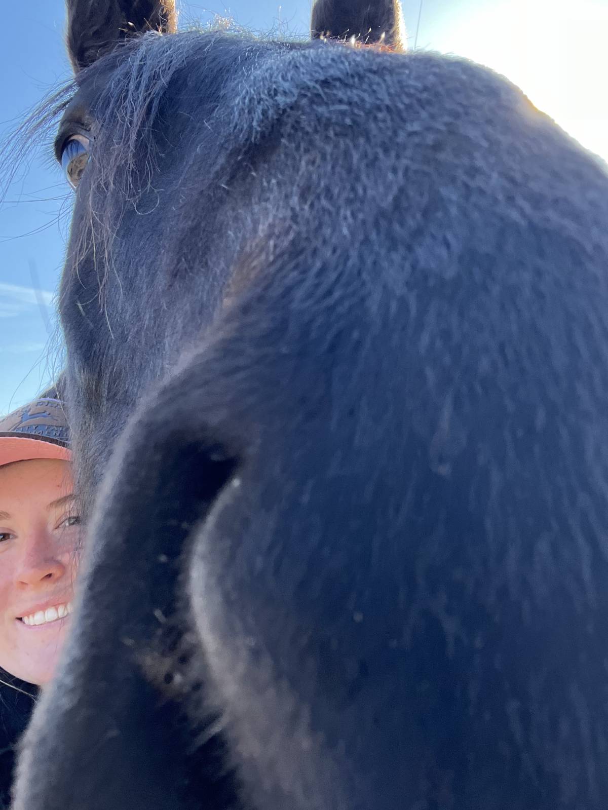 PJ - Grande Prairie - Horseback Riding Lessons