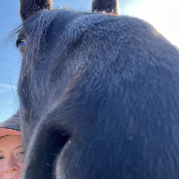 PJ - Grande Prairie - Horseback Riding Lessons (for children or teenagers)