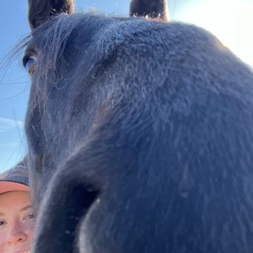PJ - Grande Prairie - Horseback Riding Lessons