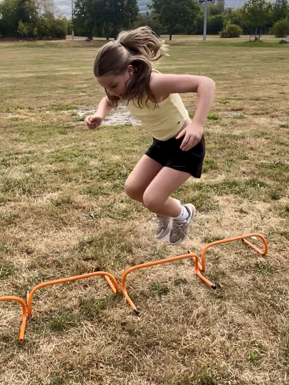 Soul Food Fitness - Ottawa - Volleyball Lessons