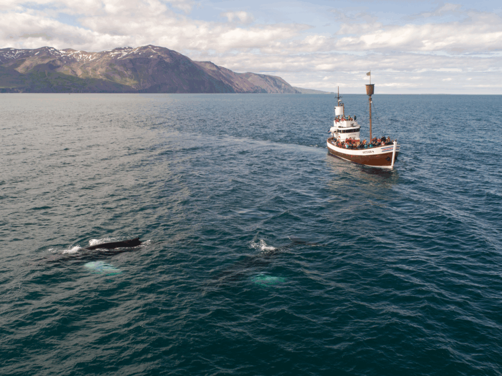 Full Tide Ocean Safaris - Charlotte - Spezialisten für Hochzeitsreisen und Flitterwochen