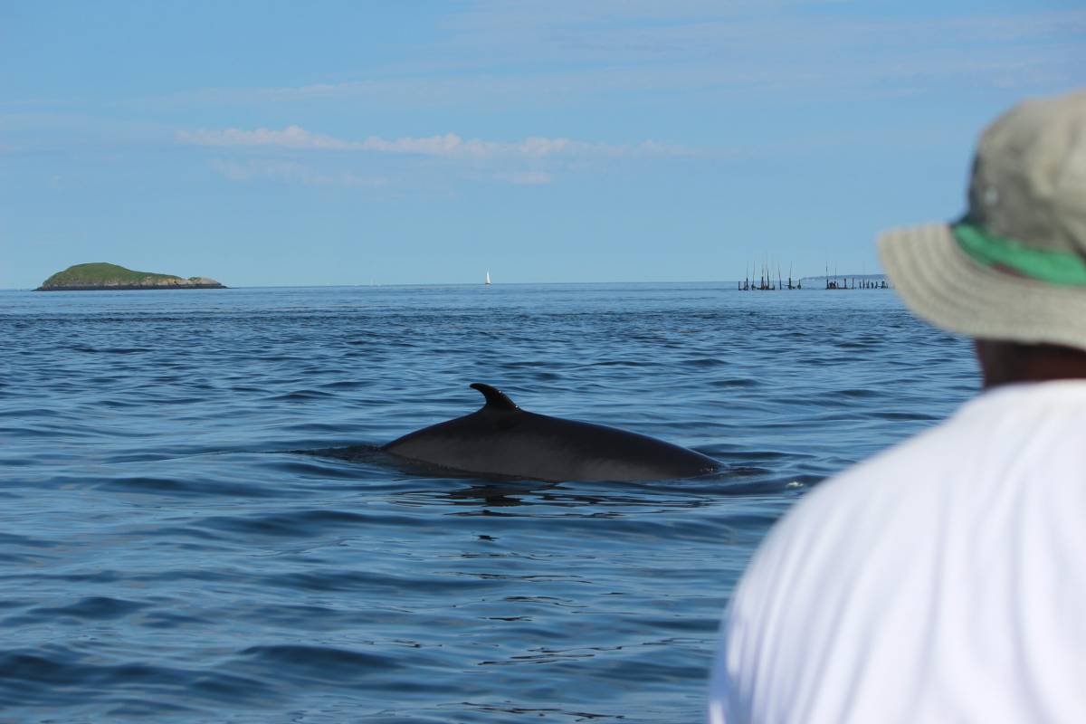 Full Tide Ocean Safaris - Charlotte - Spezialisten für Hochzeitsreisen und Flitterwochen