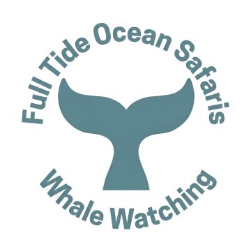 Full Tide Ocean Safaris - Charlotte - Reisebüro