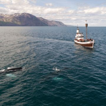 Full Tide Ocean Safaris - Charlotte - Spezialisten für Hochzeitsreisen und Flitterwochen