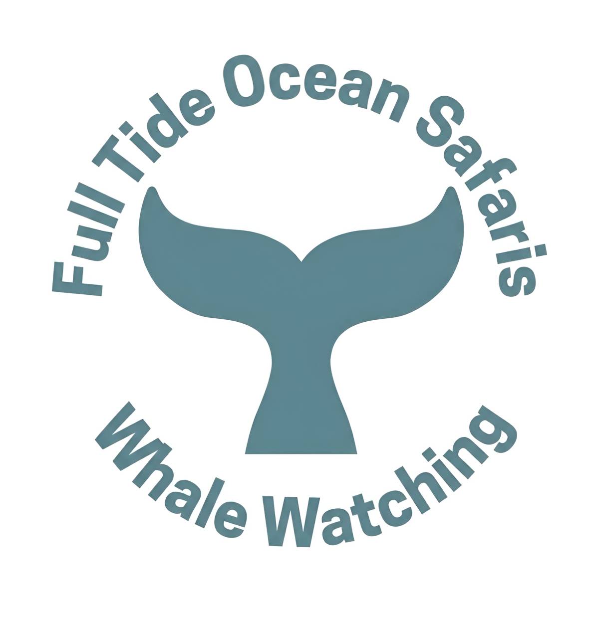 Full Tide Ocean Safaris - Charlotte - Reisebüros