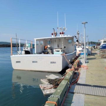Full Tide Ocean Safaris - Charlotte - Reisebüro