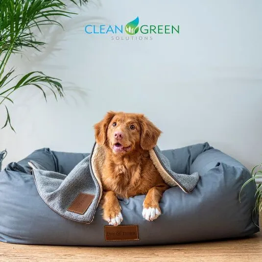 Clean Green Solutions - Greater Vancouver - Property Cleanup