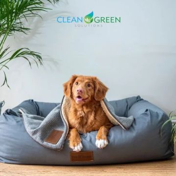 Clean Green Solutions - Greater Vancouver - Property Cleanup