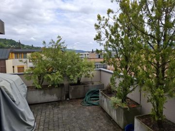 Jardinage