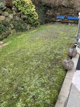 Artificial Turf Specialist