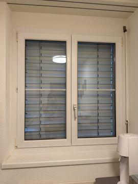 Fensterputzer - Familie und Haushalt