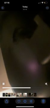 Leaky Pipes or Faucets Issues