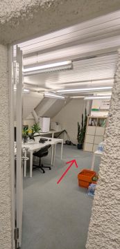 Experten für Teppichreinigungen