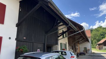Dachrinnen
