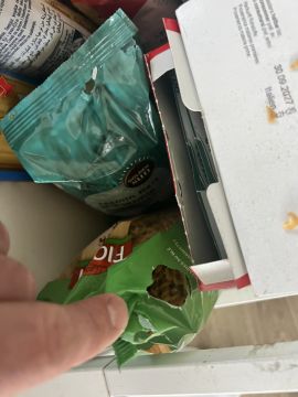 Schädlingsbekämpfer