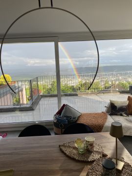 Fensterreinigung