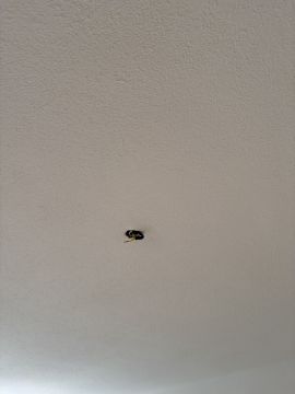 Instalador de Candeeiros