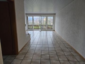 Fachmann für Katzenklappen
