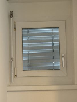 Fensterreinigung