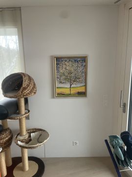 Techniker für Fernseher Wandmontage