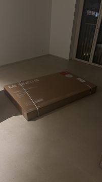 Techniker für Fernseher Wandmontage