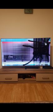 TV Repair Specialist