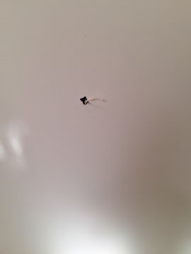 Lampeninstallateur / Lampenmonteur