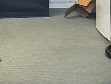 Teppichreinigung